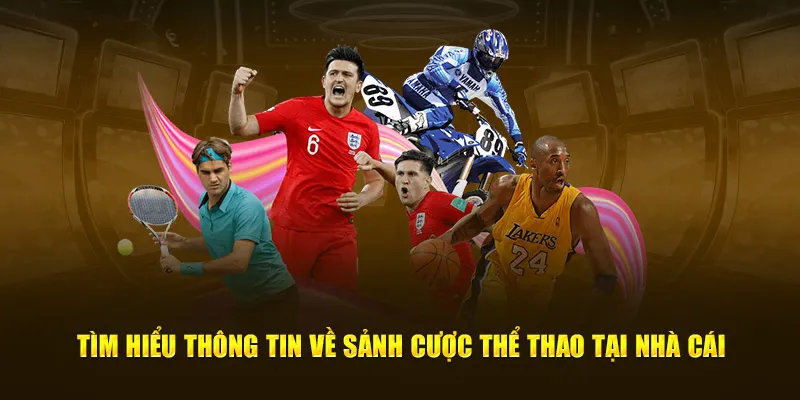 Tìm hiểu thông tin về sảnh cược độc đáo, thú vị tại nhà cái